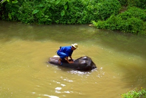 Thailande septembre 2008 (278)